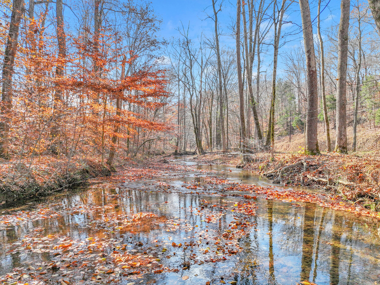 Image for Tatum Creek - LAKE w/ 41 acres & long creek frontage