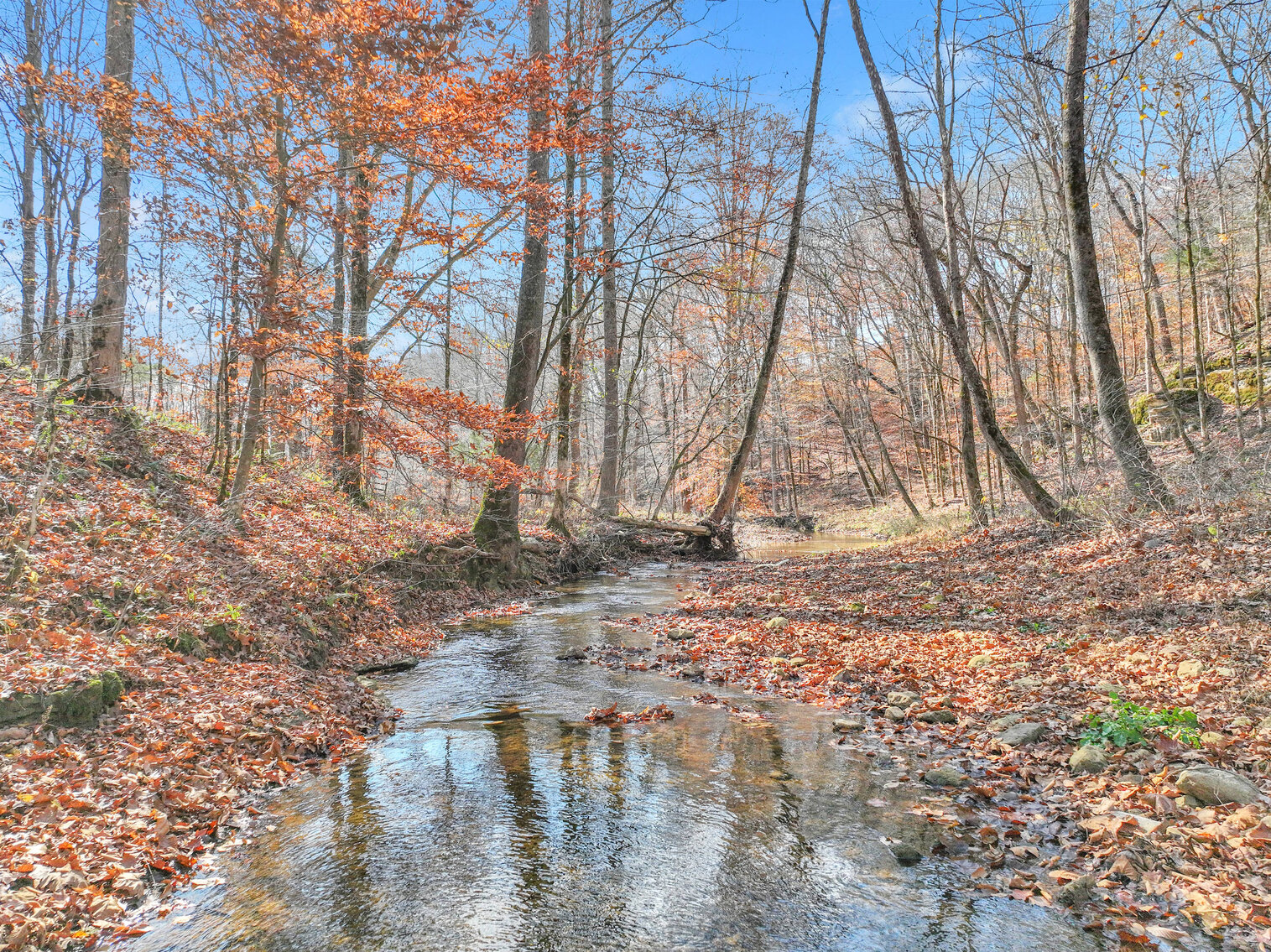 Image for Tatum Creek - LAKE w/ 41 acres & long creek frontage