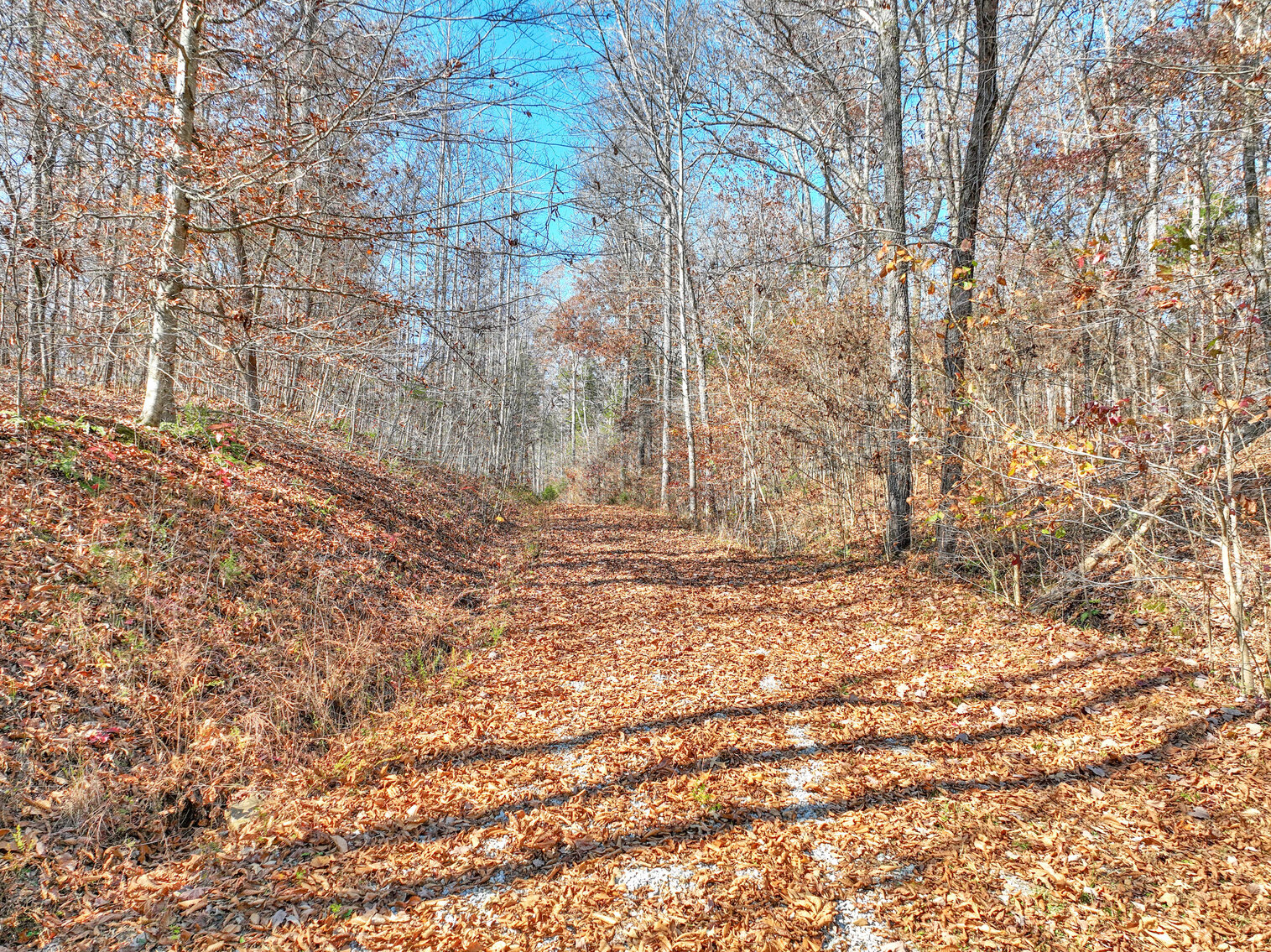 Image for Tatum Creek - LAKE w/ 41 acres & long creek frontage