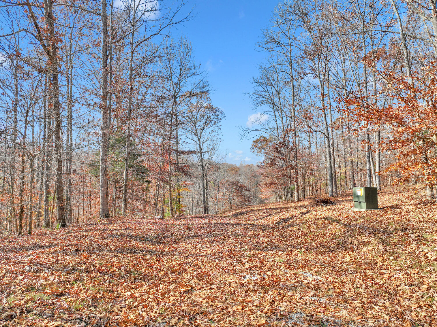 Image for Tatum Creek - LAKE w/ 41 acres & long creek frontage