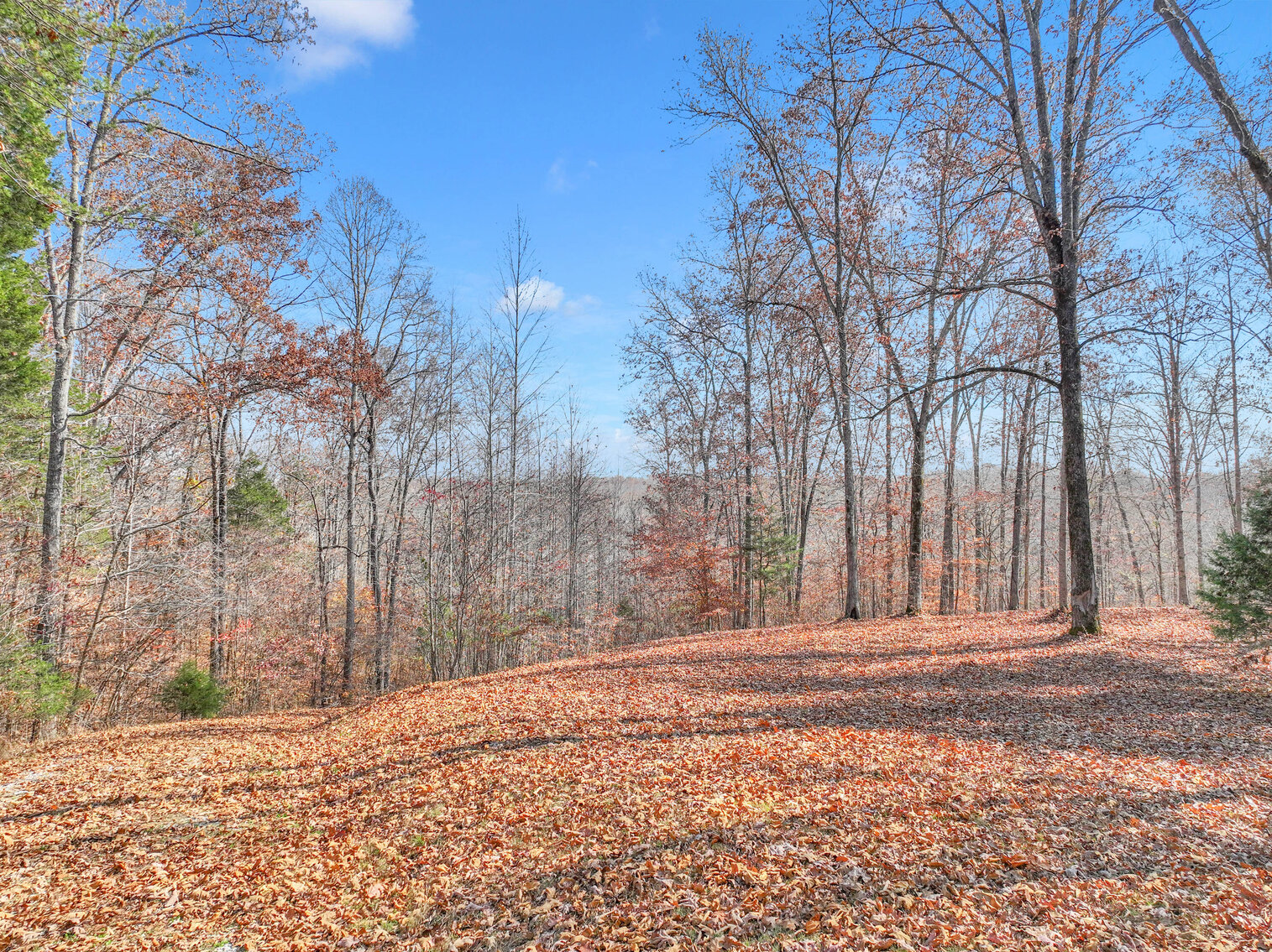 Image for Tatum Creek - LAKE w/ 41 acres & long creek frontage