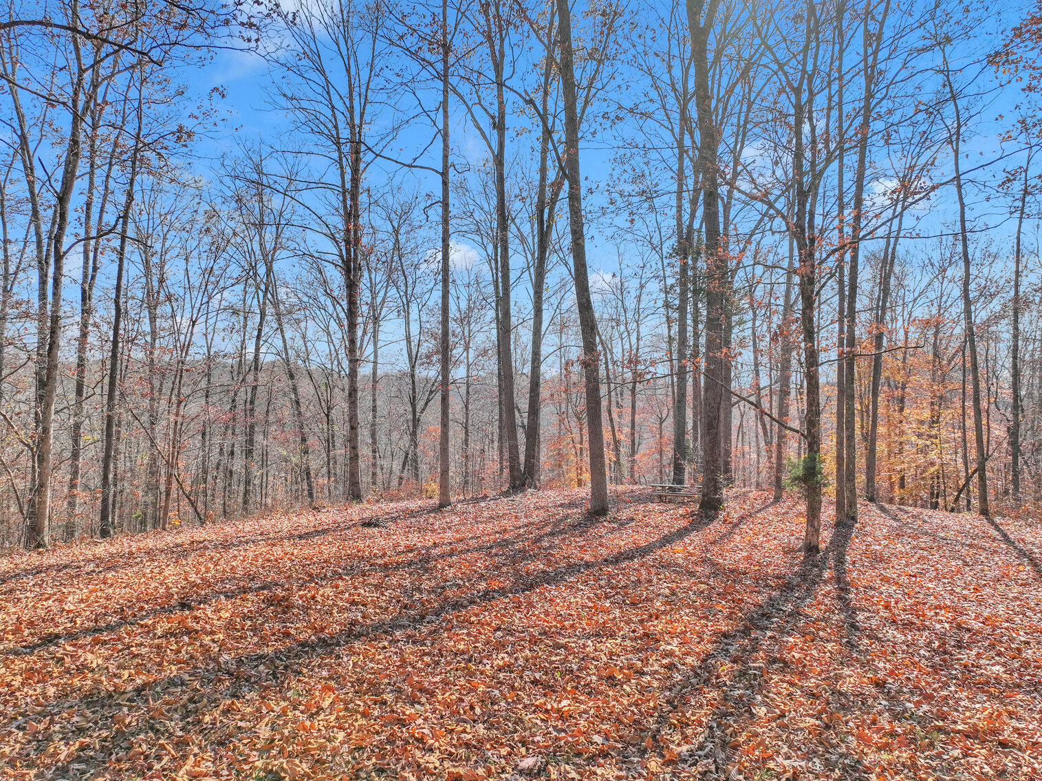 Image for Tatum Creek - LAKE w/ 41 acres & long creek frontage