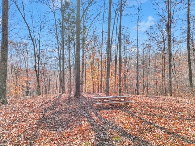 Image for Tatum Creek - LAKE w/ 41 acres & long creek frontage