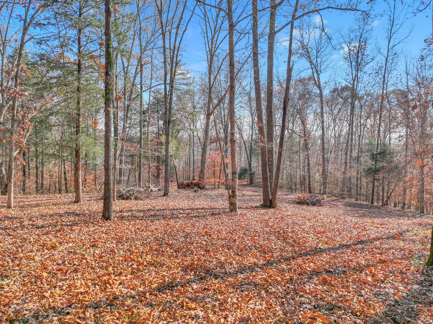 Image for Tatum Creek - LAKE w/ 41 acres & long creek frontage