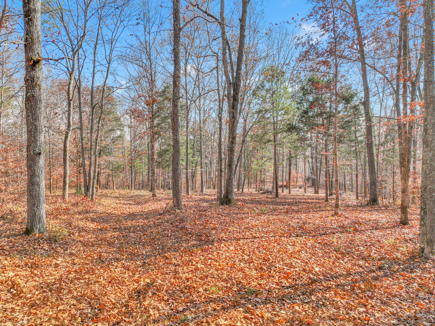 Image for Tatum Creek - LAKE w/ 41 acres & long creek frontage