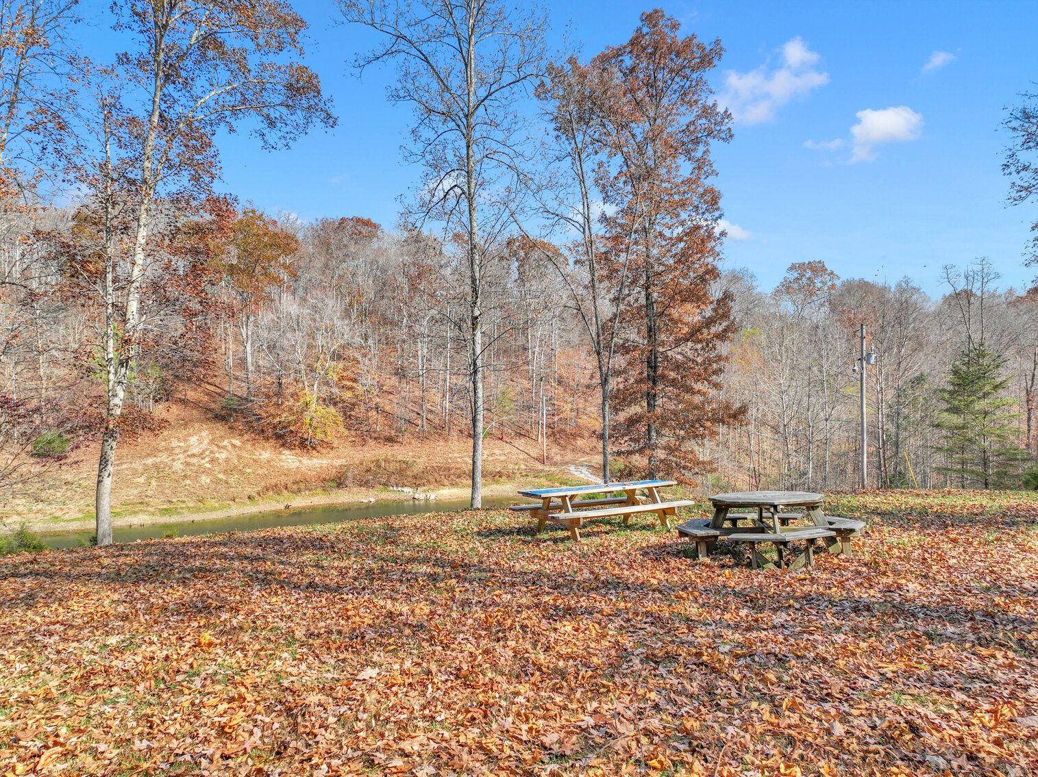 Image for Tatum Creek - LAKE w/ 41 acres & long creek frontage