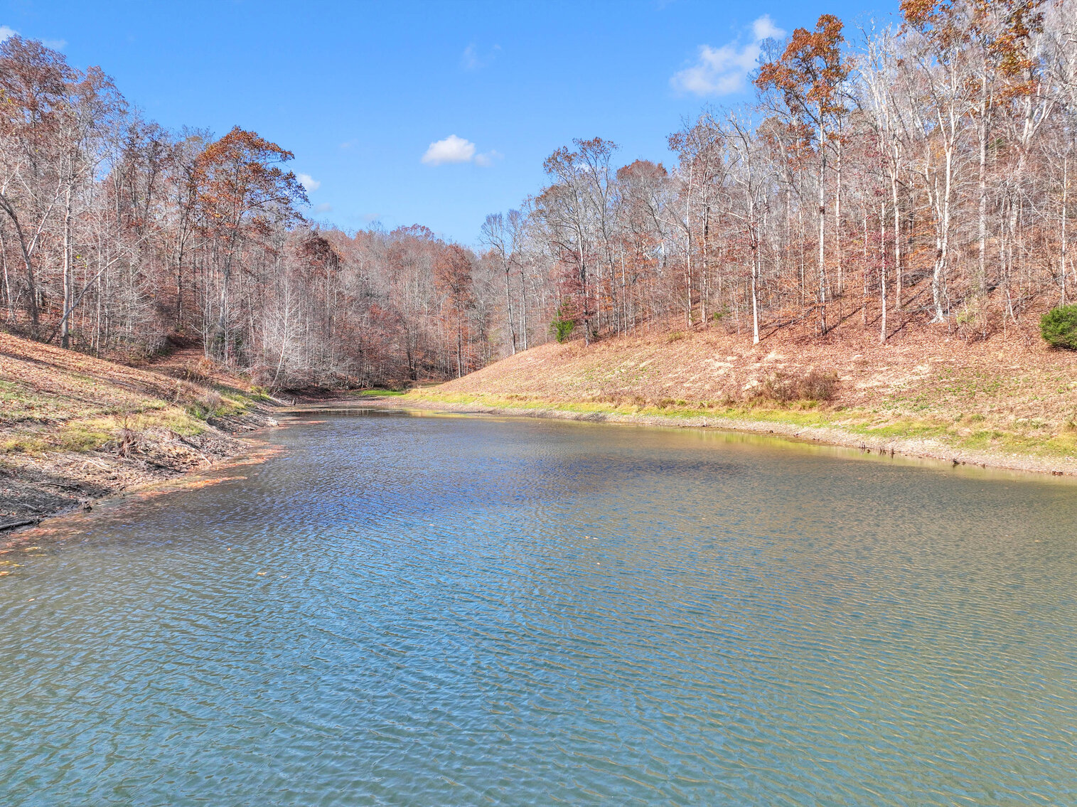 Image for Tatum Creek - LAKE w/ 41 acres & long creek frontage