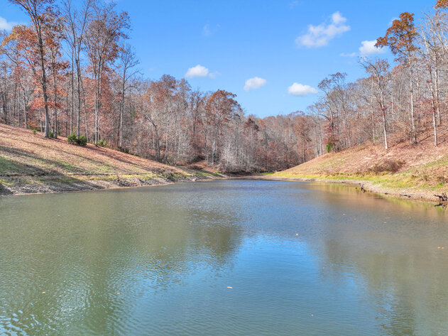 Image for Tatum Creek - LAKE w/ 41 acres & long creek frontage