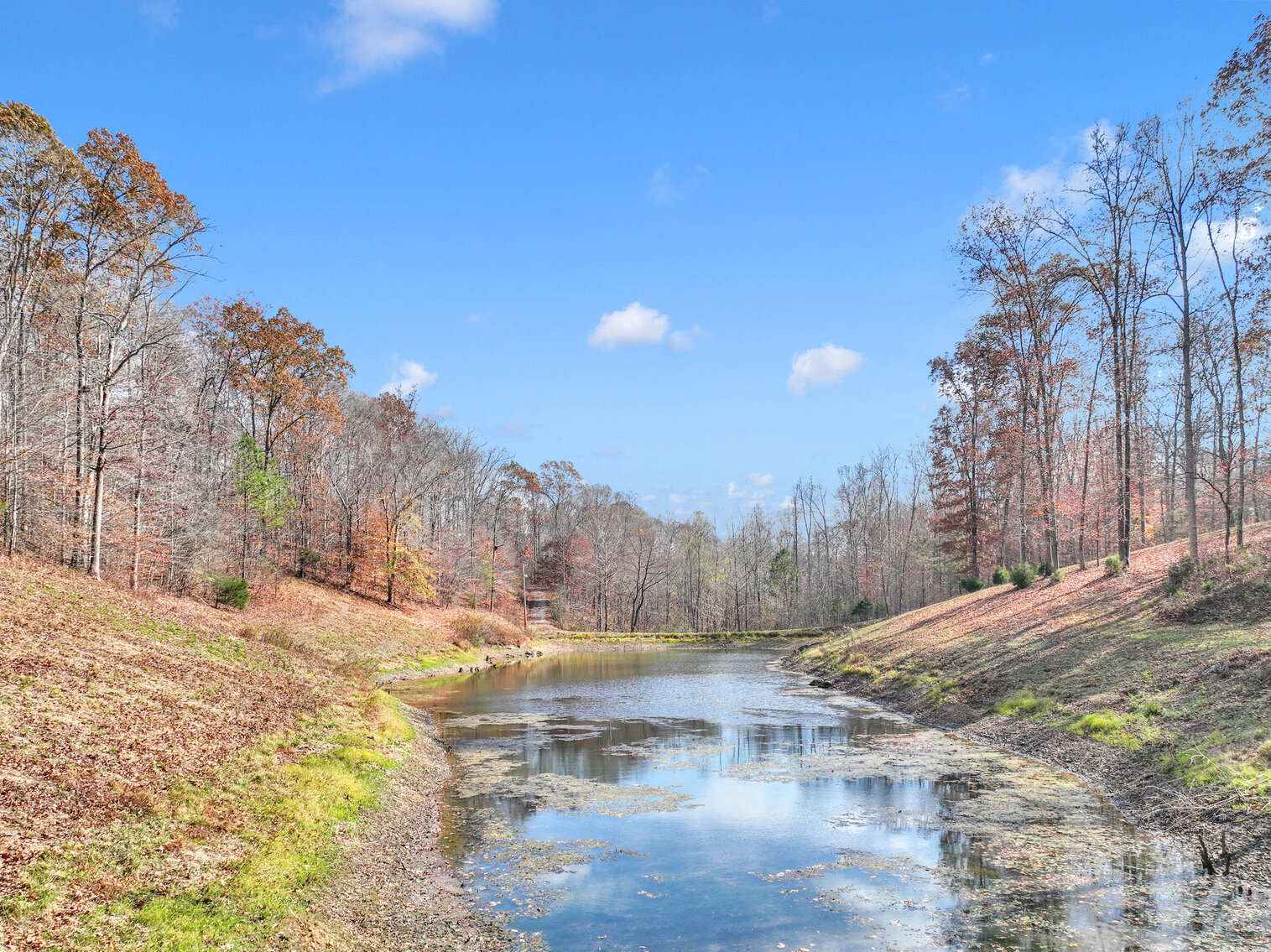 Image for Tatum Creek - LAKE w/ 41 acres & long creek frontage