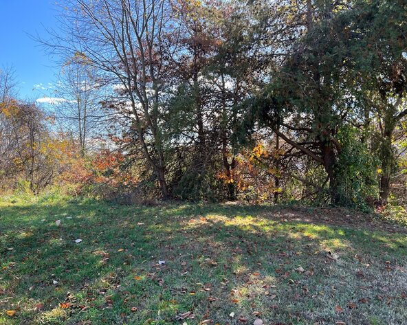 Image for Stafford County, VA Sale of Tax Delinquent Real Estate