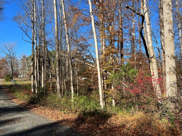 Image for Stafford County, VA Sale of Tax Delinquent Real Estate