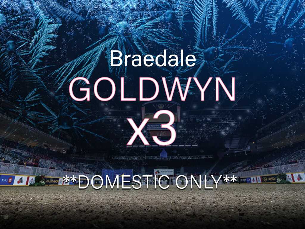 3 - Braedale Goldwyn