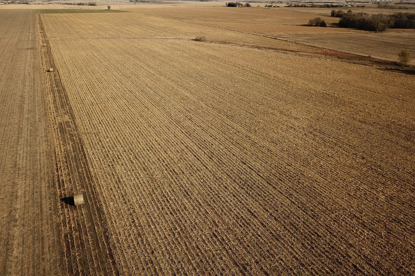 Image for Burrows Tracts Real Estate Gage County Farmland Auction