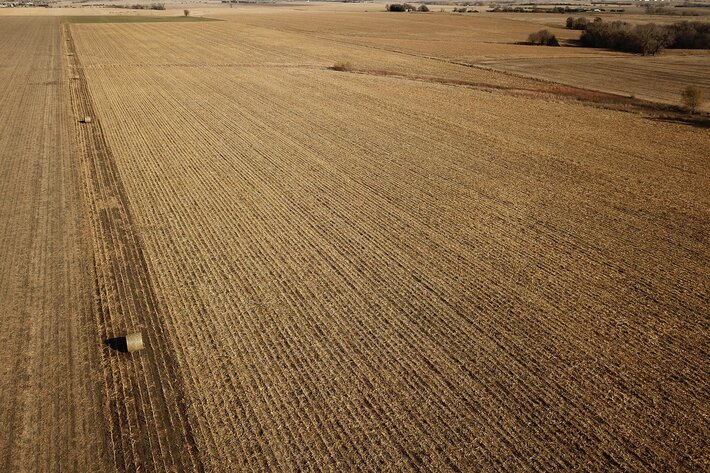 Image for Burrows Tracts Real Estate Gage County Farmland Auction