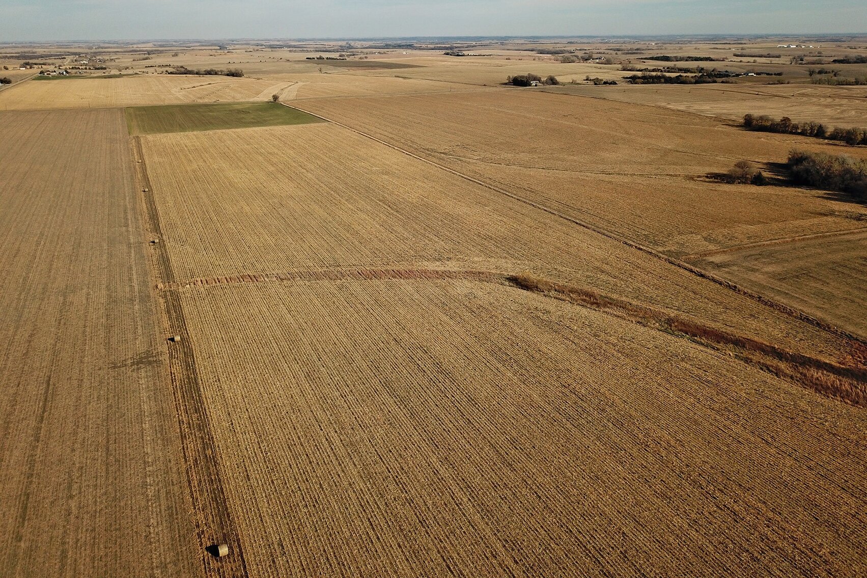 Image for Burrows Tracts Real Estate Gage County Farmland Auction