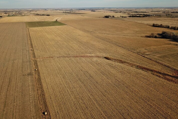 Image for Burrows Tracts Real Estate Gage County Farmland Auction