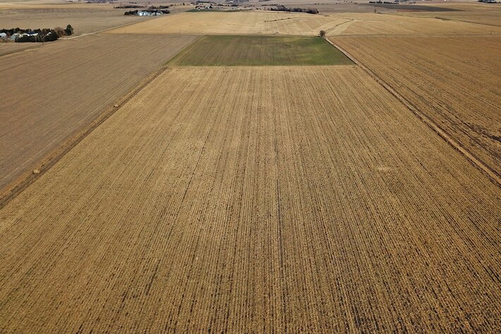 Image for Burrows Tracts Real Estate Gage County Farmland Auction