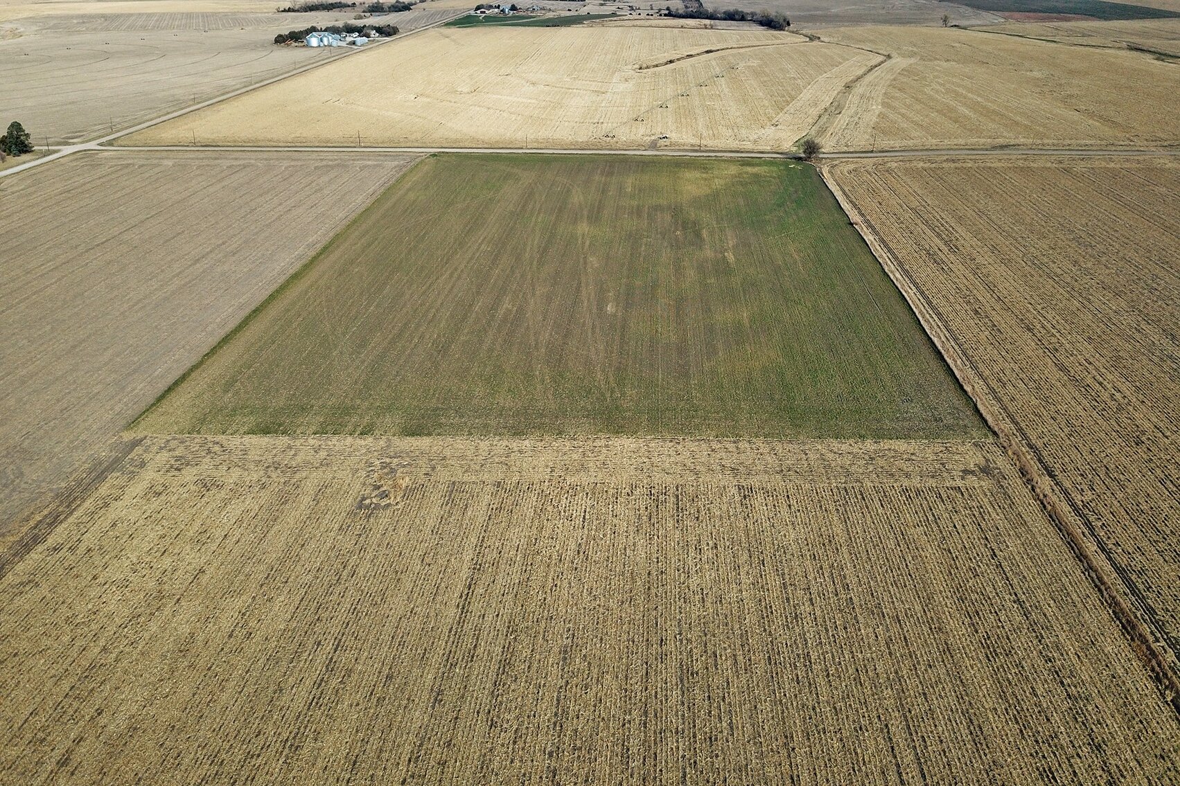 Burrows Tracts Real Estate Gage County Farmland Auction