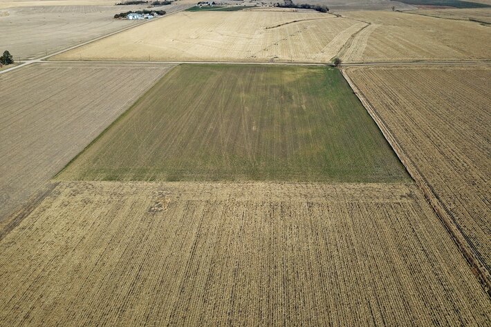 Image for Burrows Tracts Real Estate Gage County Farmland Auction
