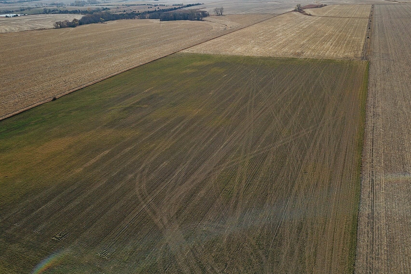 Image for Burrows Tracts Real Estate Gage County Farmland Auction