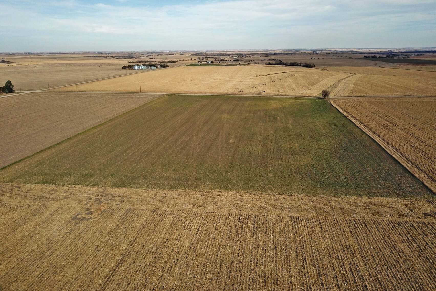 Image for Burrows Tracts Real Estate Gage County Farmland Auction