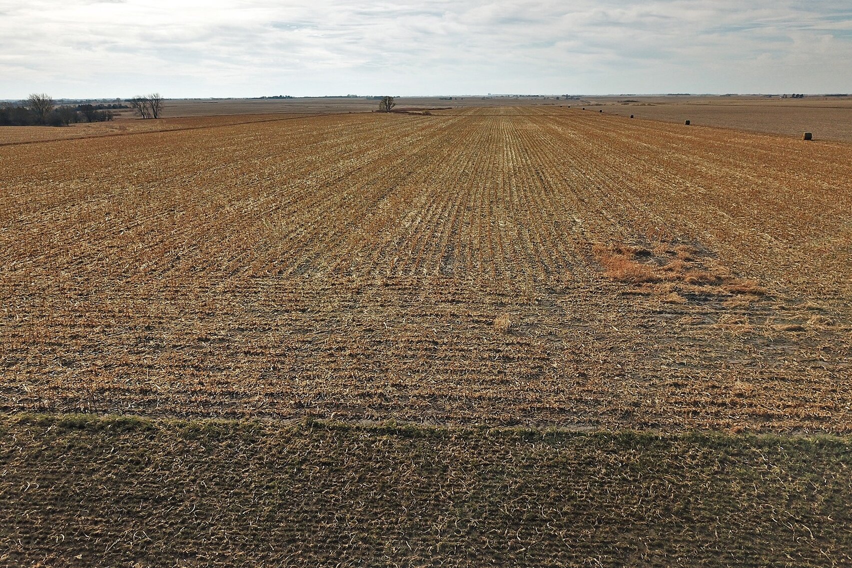 Image for Burrows Tracts Real Estate Gage County Farmland Auction