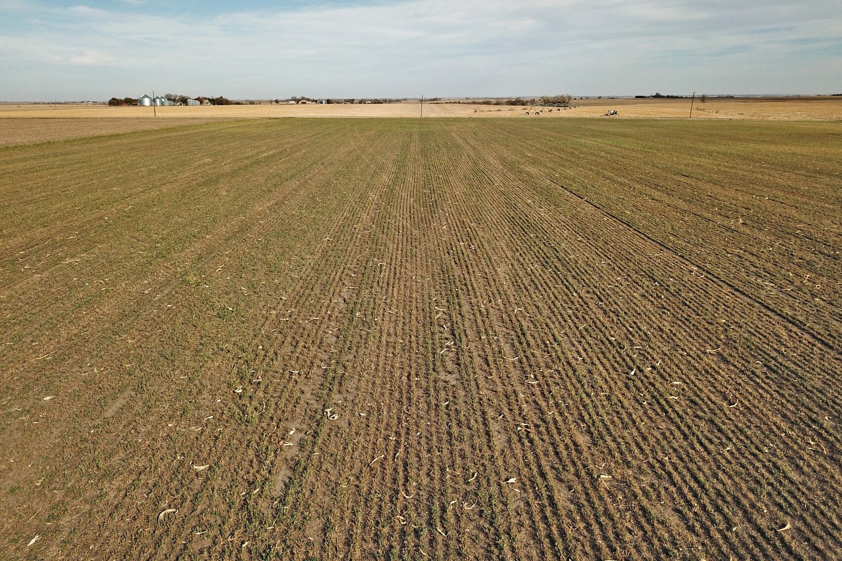 Image for Burrows Tracts Real Estate Gage County Farmland Auction