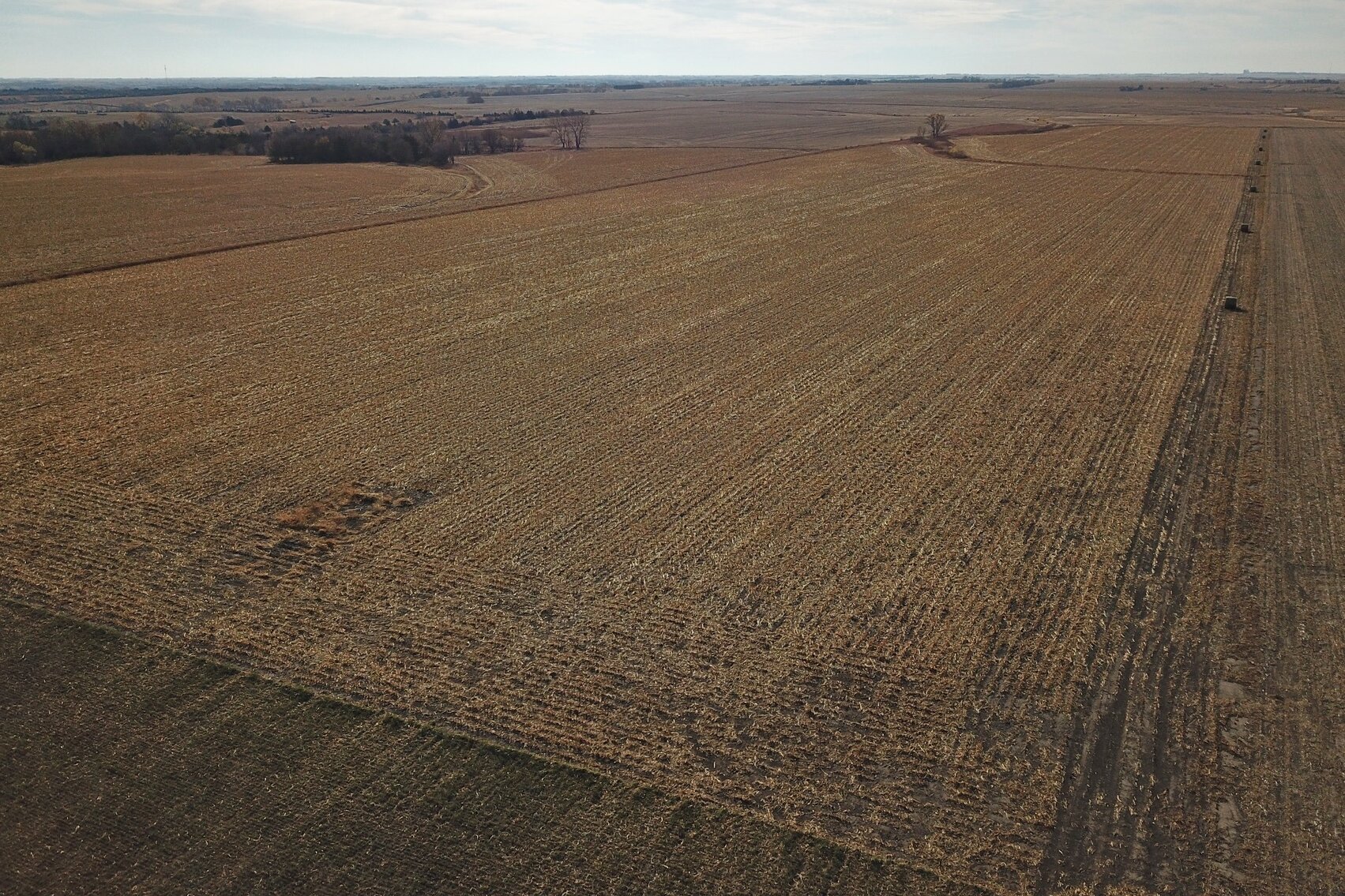 Image for Burrows Tracts Real Estate Gage County Farmland Auction