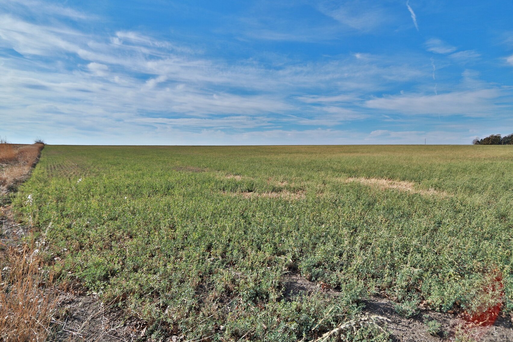 Image for Burrows Tracts Real Estate Gage County Farmland Auction