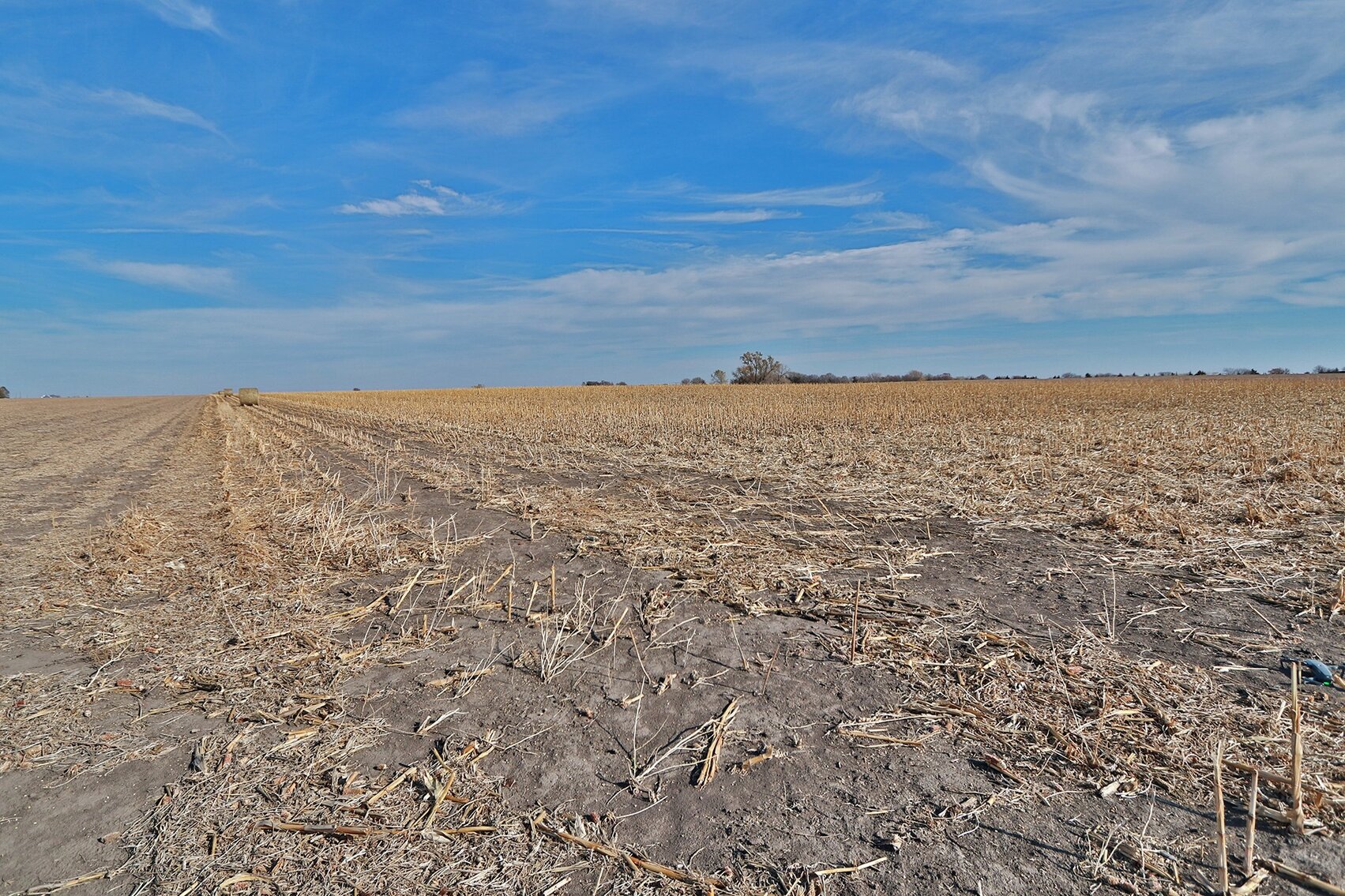 Image for Burrows Tracts Real Estate Gage County Farmland Auction