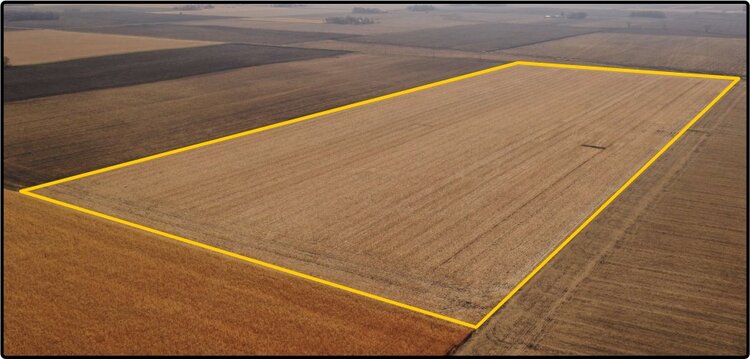 Image for Closed - Faribault Co., MN - 59.796 Ac., m/l (190-0157-01)