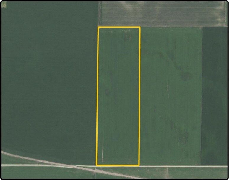 Image for Closed - Faribault Co., MN - 59.796 Ac., m/l (190-0157-01)