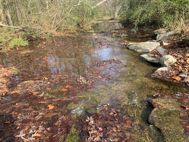 Image for Shady Grove Volunteer Fire Dept. Building & 2 Lots
