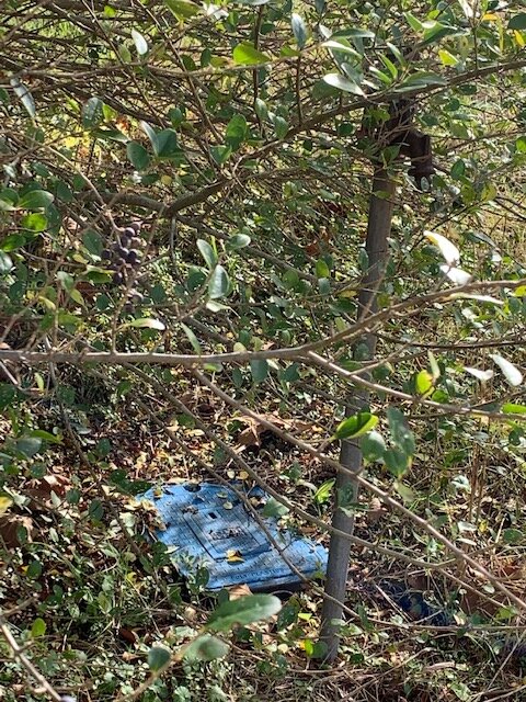 Image for Shady Grove Volunteer Fire Dept. Building & 2 Lots