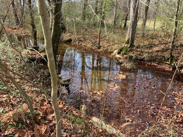 Image for Shady Grove Volunteer Fire Dept. Building & 2 Lots