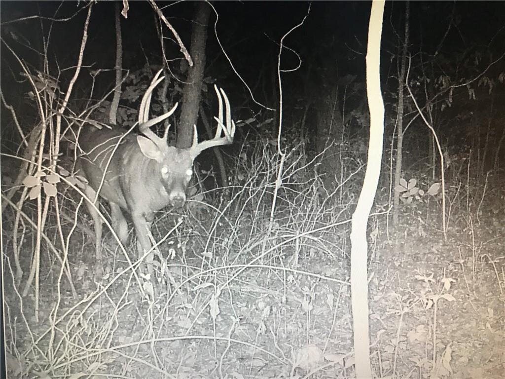 Image for 13301 E. 263rd St. - Peculiar, MO