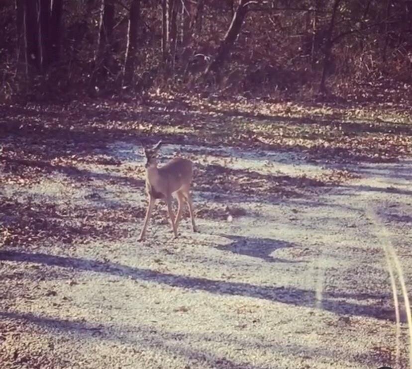 Image for 13301 E. 263rd St. - Peculiar, MO