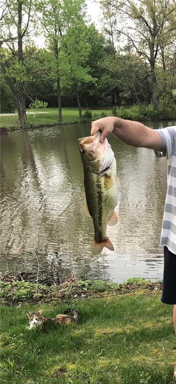 Image for 13301 E. 263rd St. - Peculiar, MO