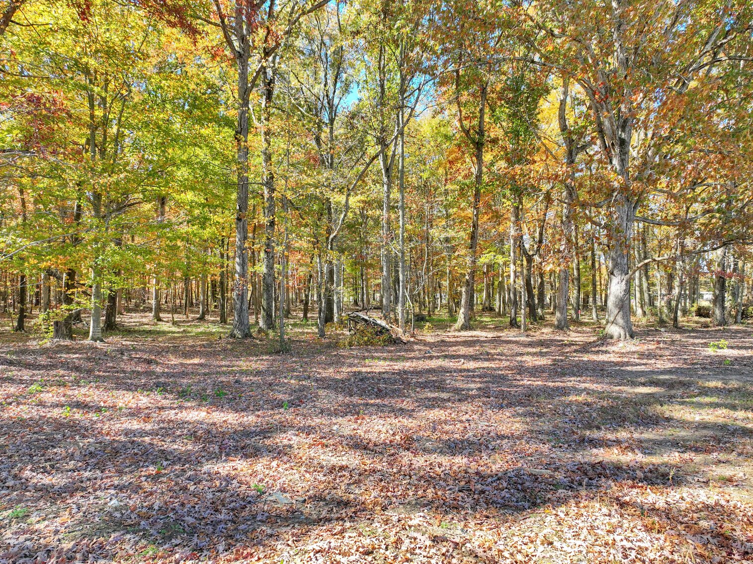 Image for 7179 & 7227 Fredonia Road, Manchester