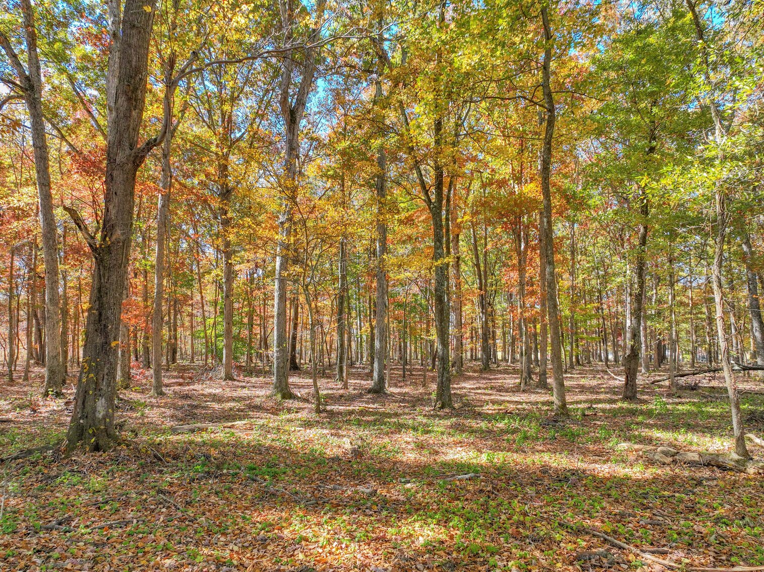 Image for 7179 & 7227 Fredonia Road, Manchester