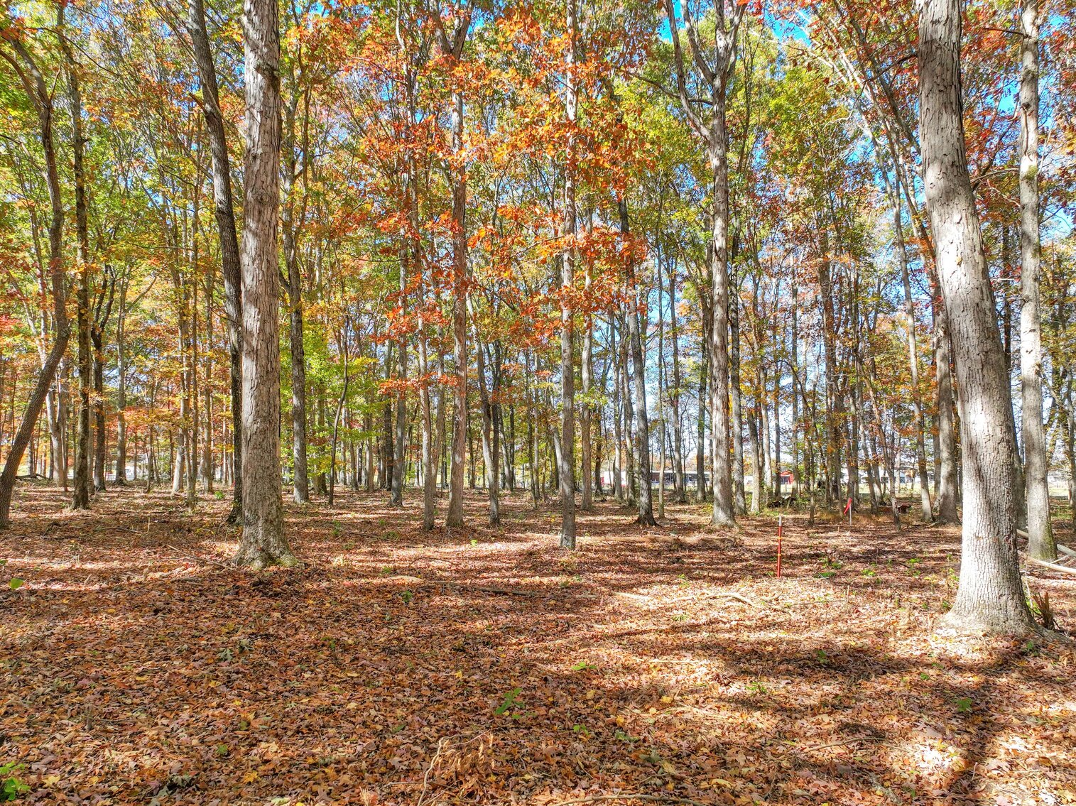 Image for 7179 & 7227 Fredonia Road, Manchester