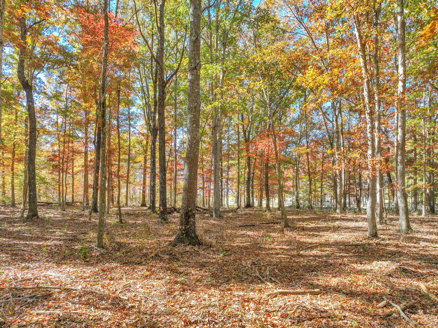 Image for 7179 & 7227 Fredonia Road, Manchester