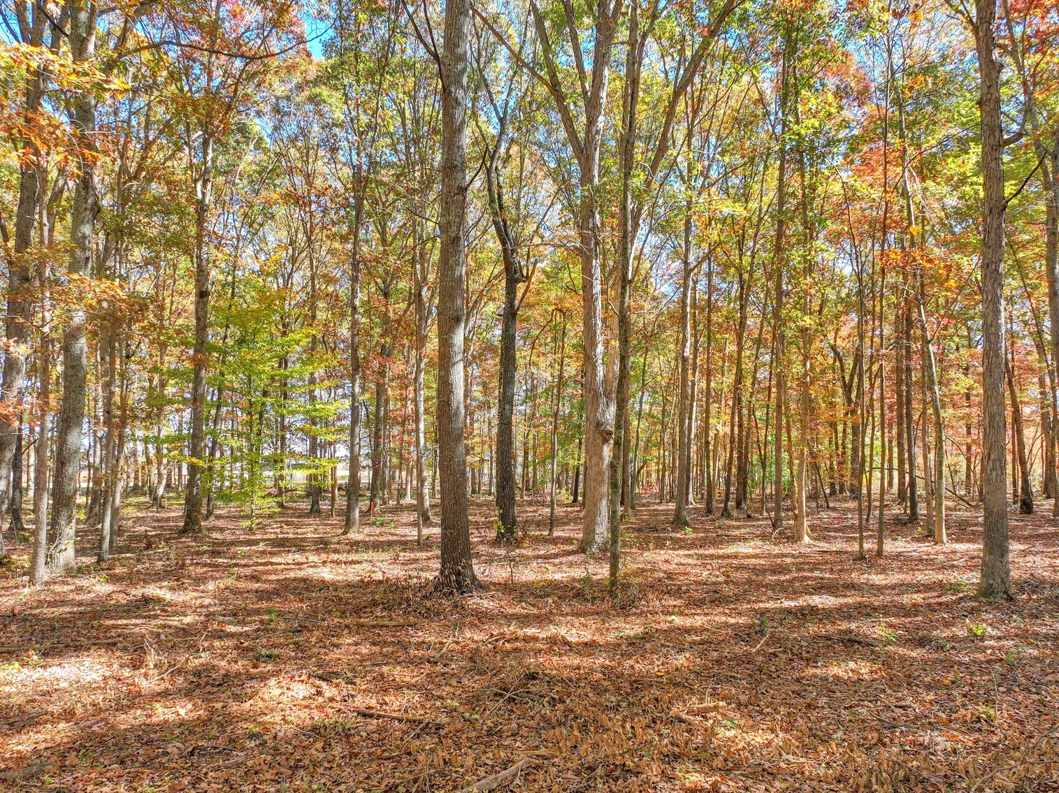 Image for 7179 & 7227 Fredonia Road, Manchester