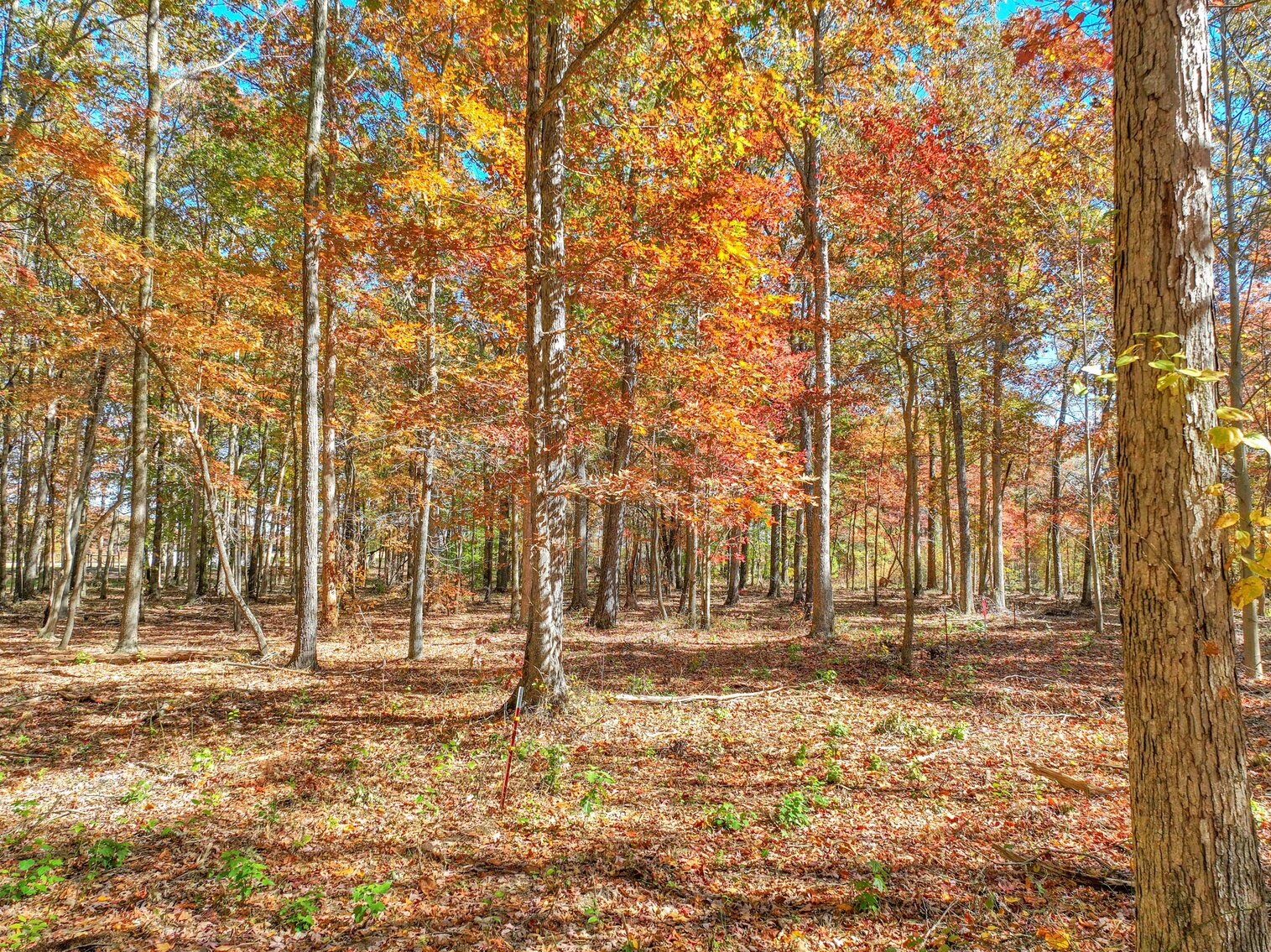 Image for 7179 & 7227 Fredonia Road, Manchester