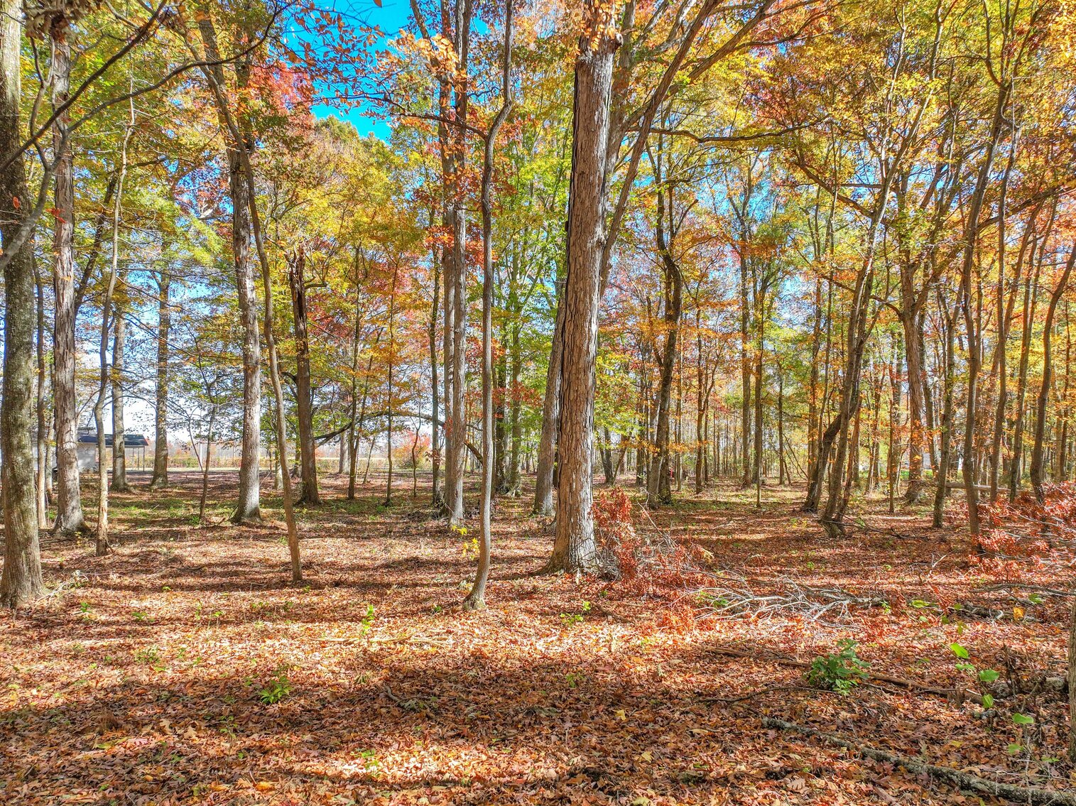 Image for 7179 & 7227 Fredonia Road, Manchester