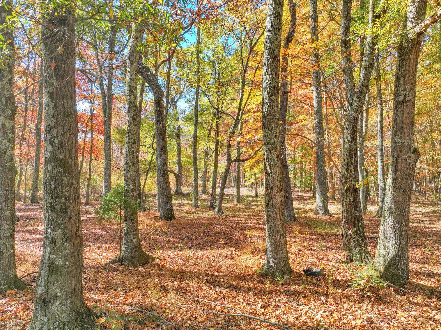 Image for 7179 & 7227 Fredonia Road, Manchester