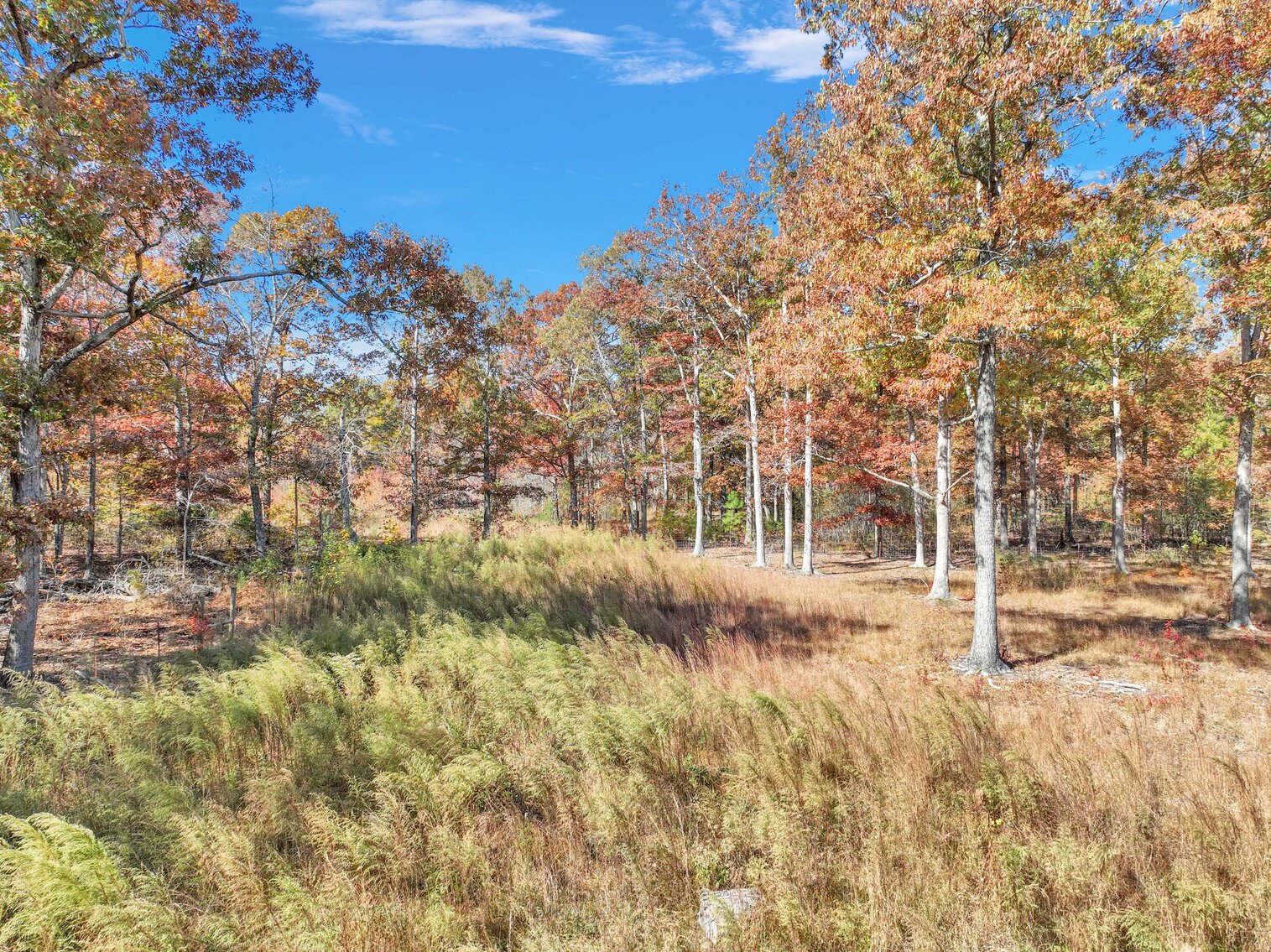 Image for 7179 & 7227 Fredonia Road, Manchester