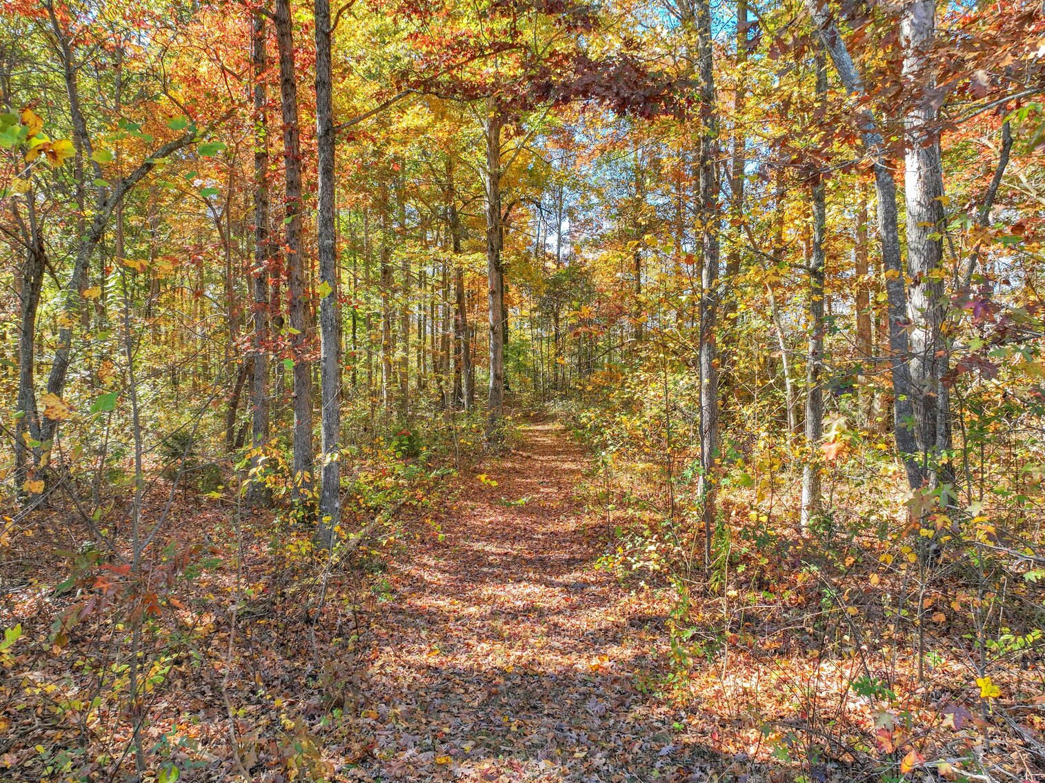 Image for 7179 & 7227 Fredonia Road, Manchester