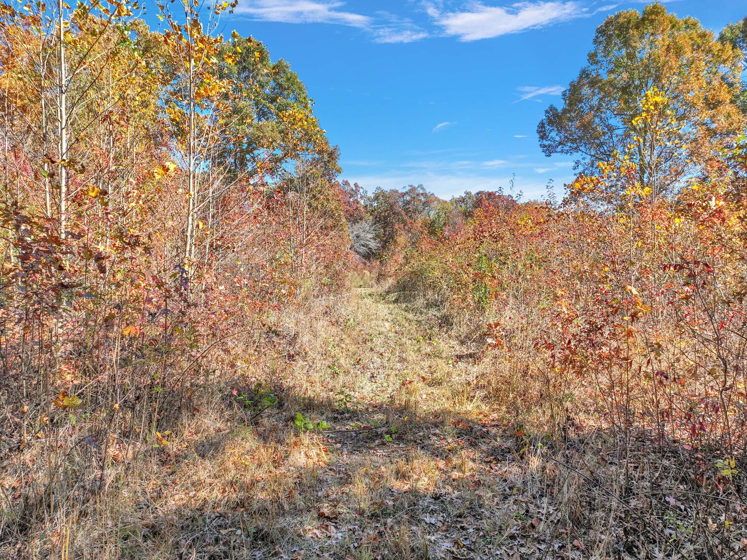 Image for 7179 & 7227 Fredonia Road, Manchester