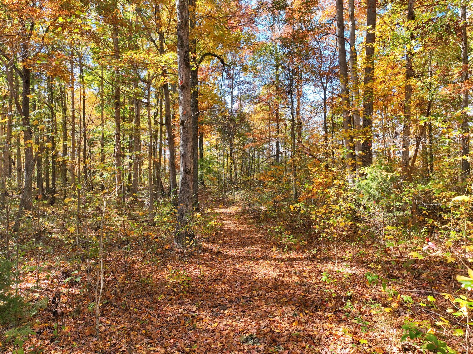 Image for 7179 & 7227 Fredonia Road, Manchester